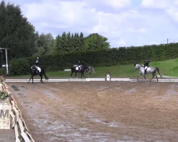 Reitturnier Vlotho-Exter 2015