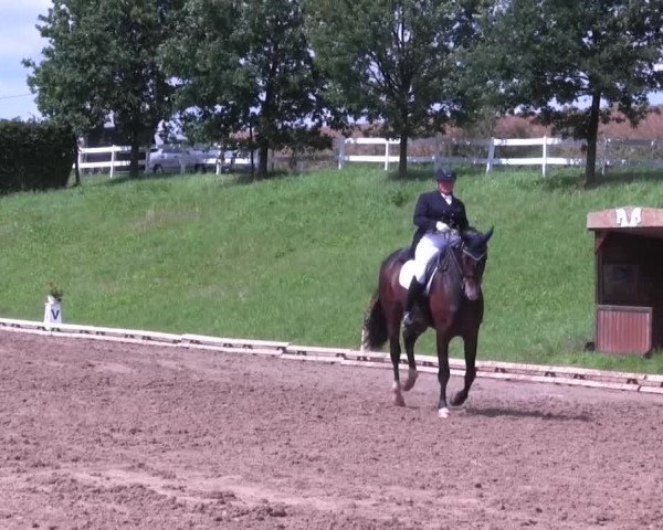 Reitturnier Vlotho-Exter 2015
