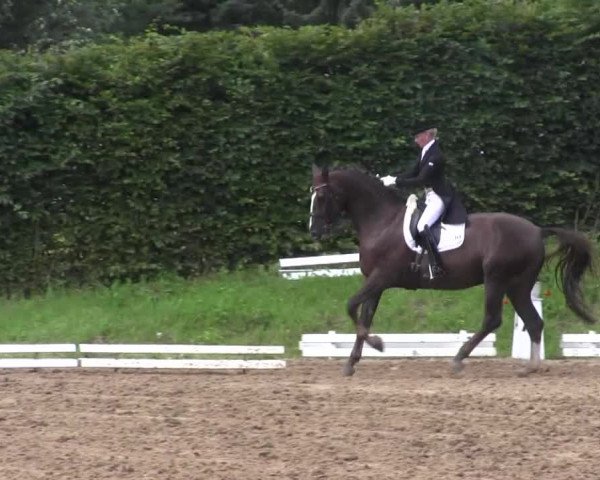Reitturnier Vlotho-Exter 2015