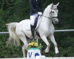 dressage horse Zefanja Zé Roberto (unknown, 2006)