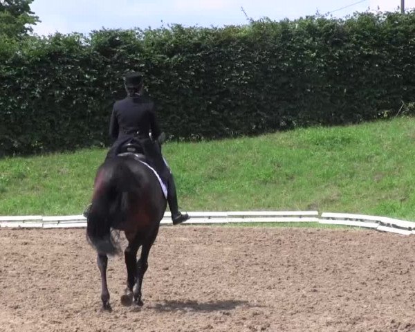 Reitturnier Vlotho-Exter 2015