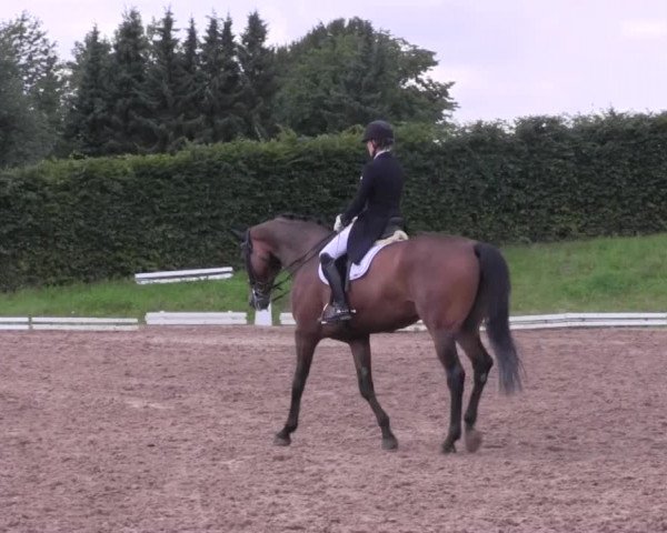Reitturnier Vlotho-Exter 2015