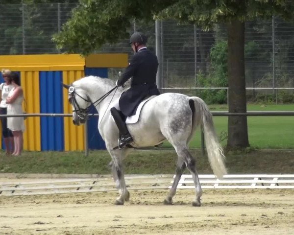 Reitturnier Schwanheim 2015