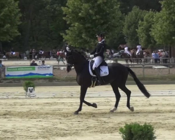 Reitturnier Schwanheim 2015