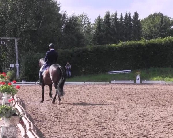 Reitturnier Vlotho-Exter 2015