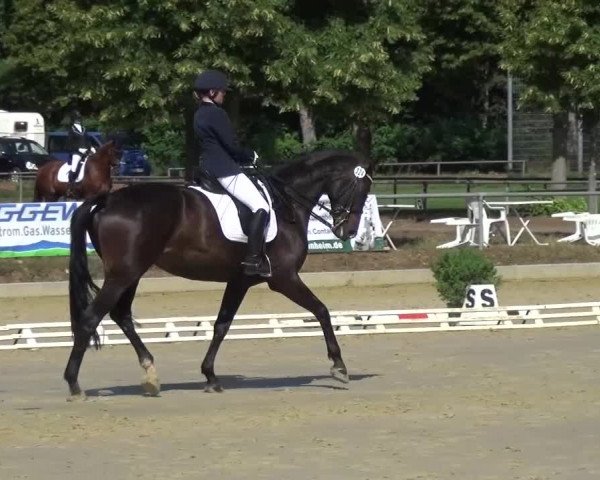Reitturnier Schwanheim 2015