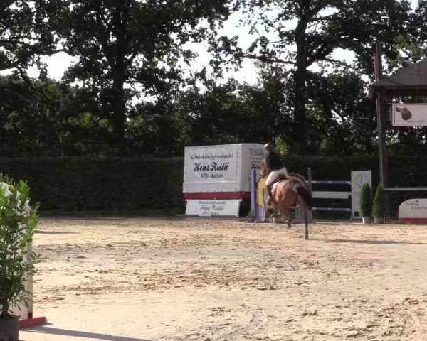 Vinnumer Reitertage 2015