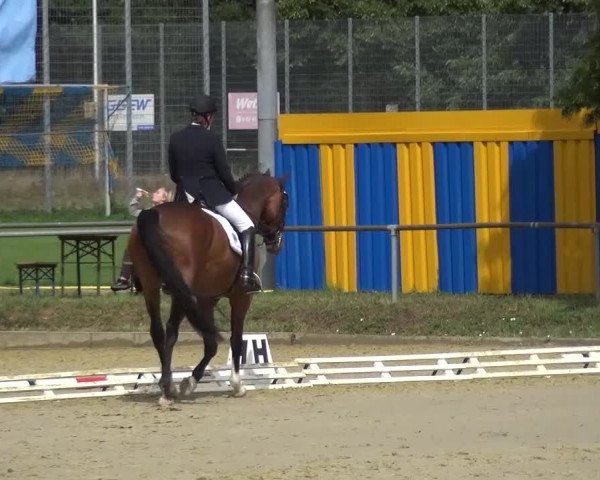 Reitturnier Schwanheim 2015