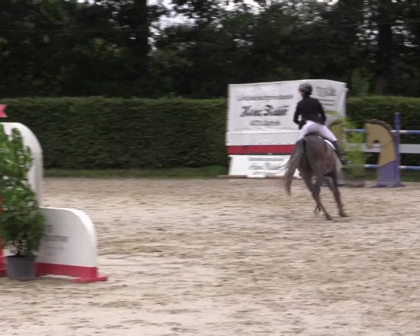 Vinnumer Reitertage 2015
