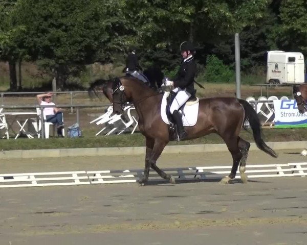 Reitturnier Schwanheim 2015