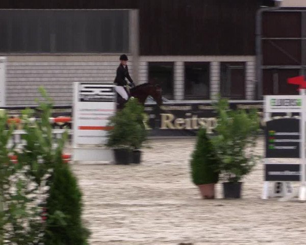 Vinnumer Reitertage 2015