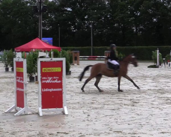 Vinnumer Reitertage 2015