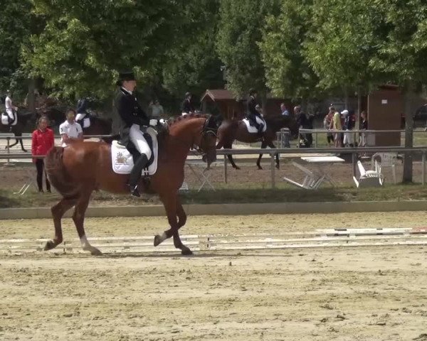 Reitturnier Schwanheim 2015