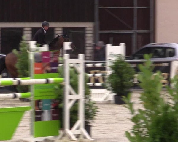 Vinnumer Reitertage 2015