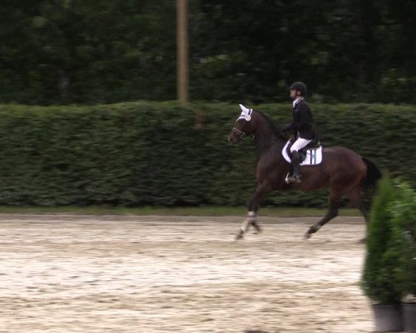Vinnumer Reitertage 2015