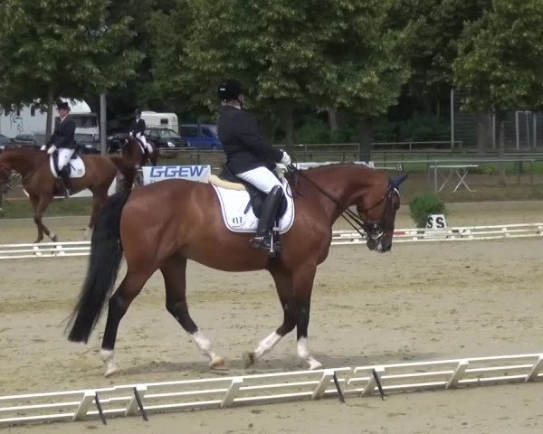 Reitturnier Schwanheim 2015
