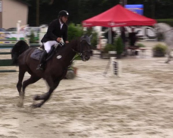Vinnumer Reitertage 2015