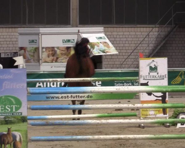 Vinnumer Reitertage 2015