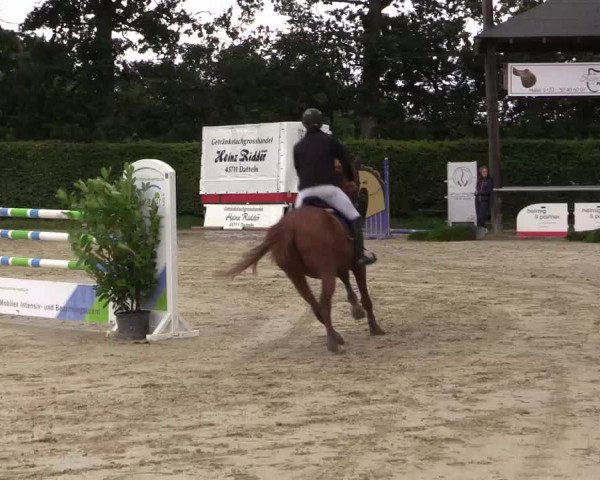 Vinnumer Reitertage 2015