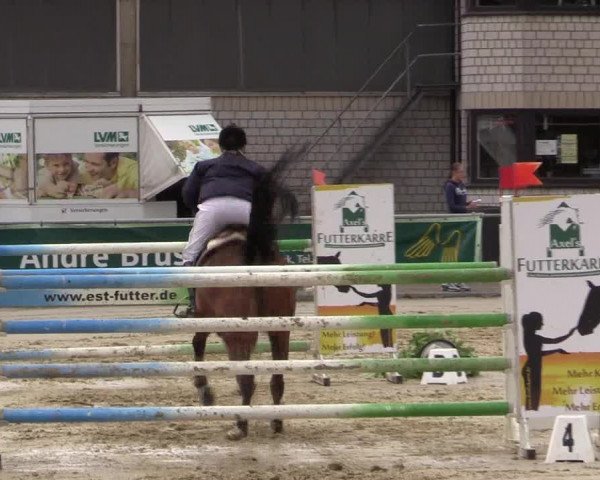 Vinnumer Reitertage 2015