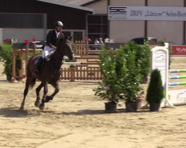 Vinnumer Reitertage 2015