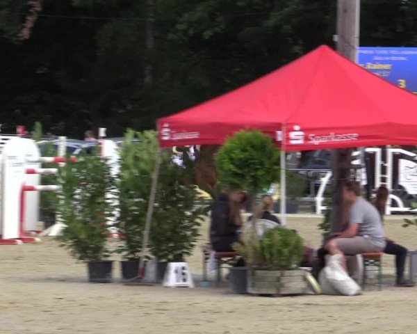 Vinnumer Reitertage 2015