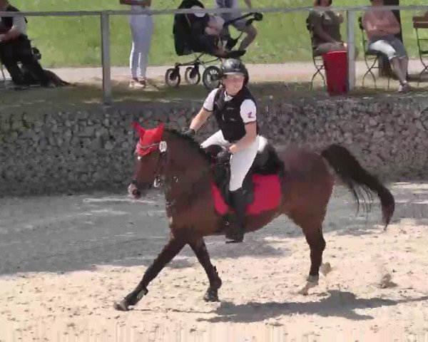 Reitturnier Ingolstadt-Hagau 2015
