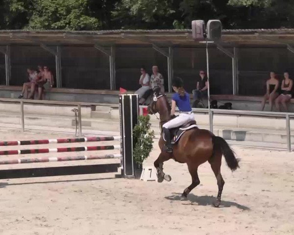 Reitturnier Ingolstadt-Hagau 2015