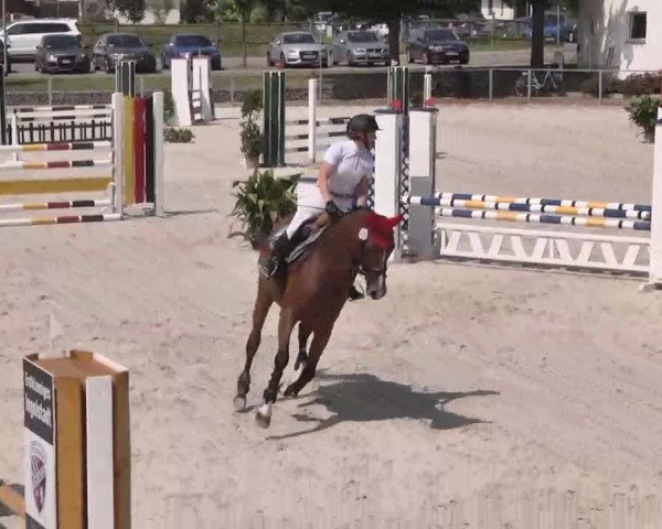 Reitturnier Ingolstadt-Hagau 2015