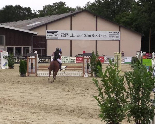 Vinnumer Reitertage 2015