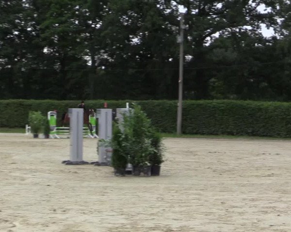 Vinnumer Reitertage 2015