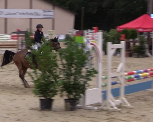 Vinnumer Reitertage 2015