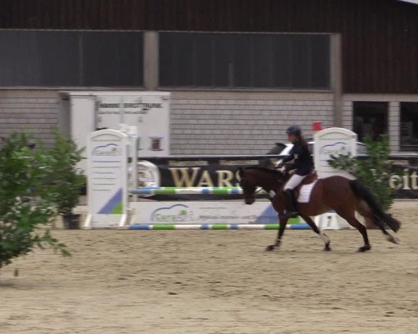 Vinnumer Reitertage 2015