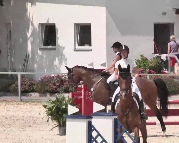 Reitturnier Ingolstadt-Hagau 2015