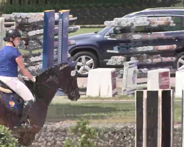 Reitturnier Ingolstadt-Hagau 2015