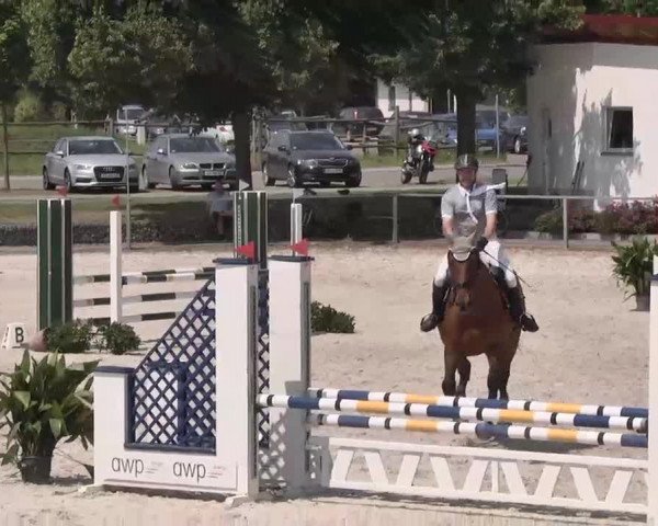 Reitturnier Ingolstadt-Hagau 2015