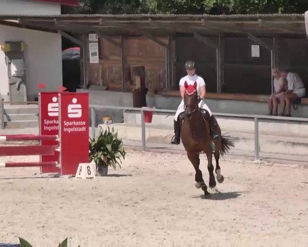 Reitturnier Ingolstadt-Hagau 2015