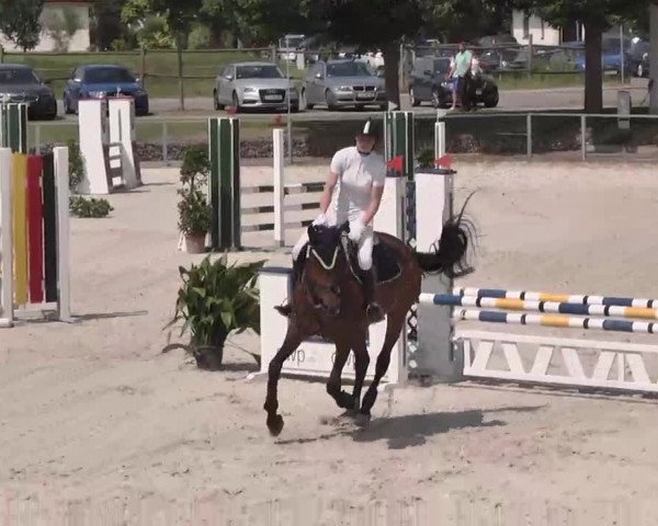 Reitturnier Ingolstadt-Hagau 2015