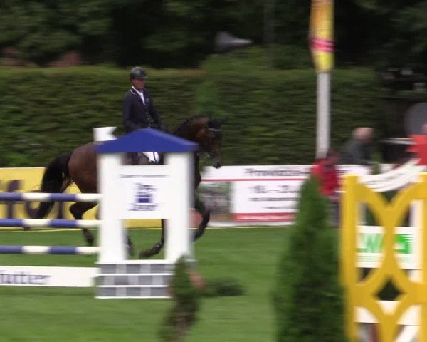Reitturnier Münster-Handorf 2015
