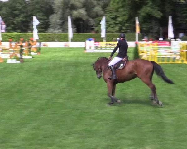 Westfalen-Woche 2015