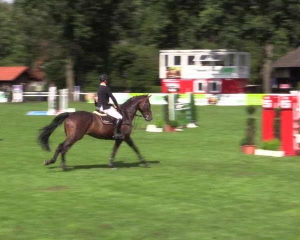 Reitturnier Münster-Handorf 2015
