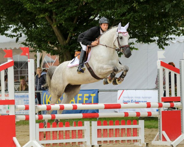 dressage horse Carlotta Lou B (Westphalian, 2010, from Congress)