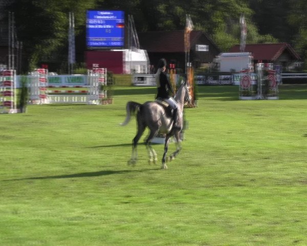 Westfalen-Woche 2015