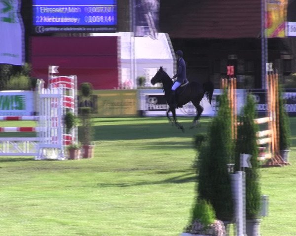 Reitturnier Münster-Handorf 2015