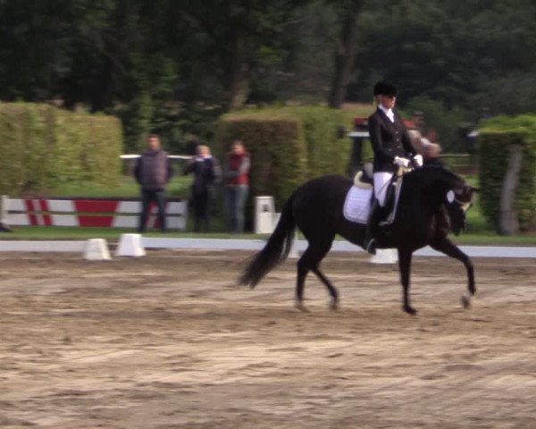 Westfalen-Woche 2015
