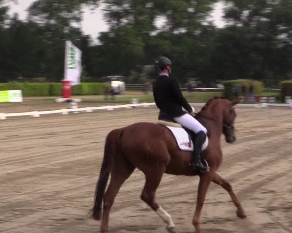 Westfalen-Woche 2015