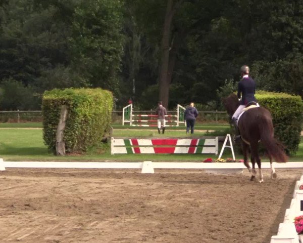 Westfalen-Woche 2015