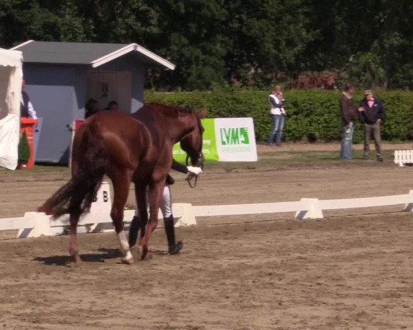 Westfalen-Woche 2015