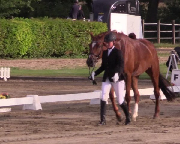 Reitturnier Münster-Handorf 2015