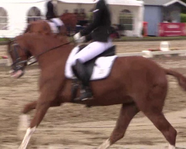 Westfalen-Woche 2015